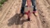 Jelle Van Loon, of the International Maize and Wheat Improvement Center, demonstrates a prototype hand planter. (Steve Baragona/VOA) 