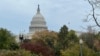 A view of the U.S. Capitol, Nov. 7, 2023, in Washington. Congressional leaders on Feb. 28, 2024, said they had reached a deal for advancing spending bills for the fiscal year ending Sept. 30 and could also avert government shutdowns on March 2. (Diaa Bekheet/VOA)