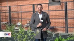 Emprendimiento: Huerta aprovecha residuos plásticos en Colombia