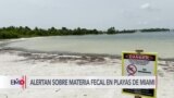 Prohíben playas de Miami ante contaminación por materia fecal 