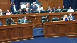 Caos en comité de cámara baja, legisladoras intercambian insultos