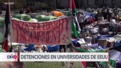 Decenas de detenciones en universidades de EEUU en protestas por guerra en Gaza