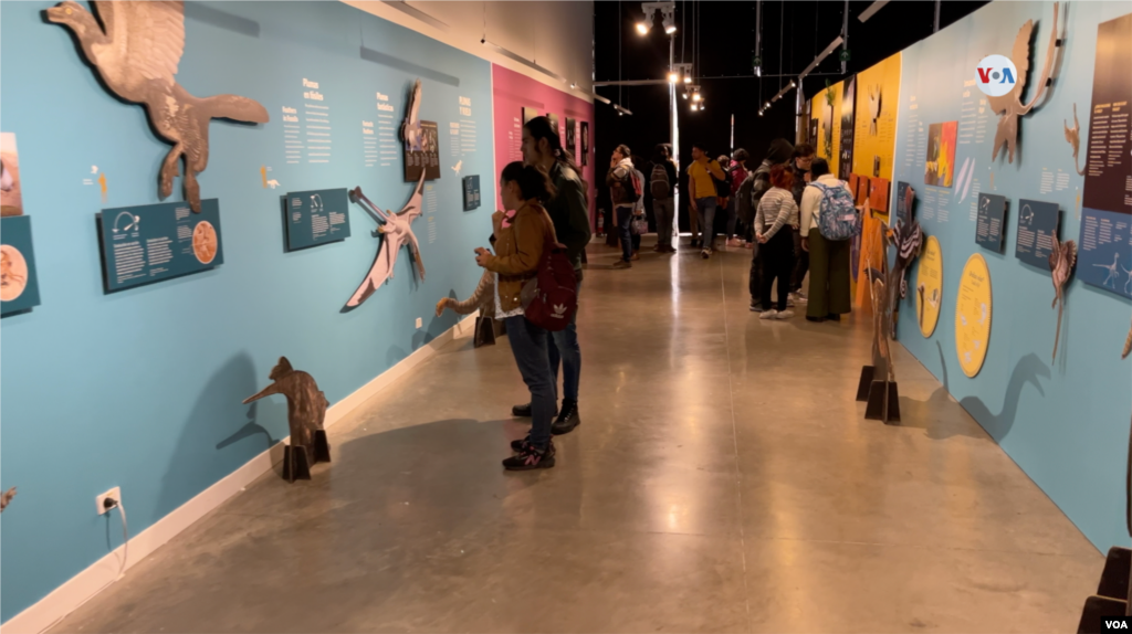 Un grupo de visitantes en la exhibición en la que se explica por qué las aves son consideradas un grupo de dinosaurios y las razones por las que Colombia es, actualmente, el país en el que habita la mayor cantidad de esos animales que dominaron el mundo en la prehistoria.&nbsp;