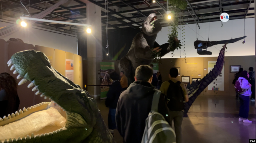 Estas asombrosas representaciones hacen parte de &#39;Dinosaurios entre nosotros&#39;, una exposición organizada por el Museo de Historia Natural de Nueva York y la Universidad de Los Andes que llega a Bogotá, la capital colombiana, para enseñarnos sobre estas criaturas que, según los expertos, aún viven entre nosotros.