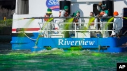Members of the Chicago Journeymen Plumbers Local 130 dye the Chicago River green ahead of St. Patrick's Day celebrations, March 16, 2024, in Chicago.