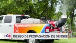 Miami refuerza medidas para prevenir contagio de dengue