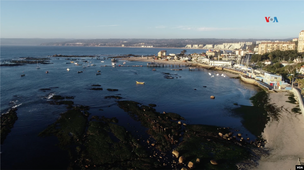 Riqueza paleontológica, yacimientos con restos fosilizados prehistóricos que guarda la bahía de Algarrobo.