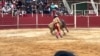Colombia dividida por la prohibición de las corridas de toros