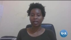 "Todos os partidos deviam adoptar modelo zebra", diz Clara Armando