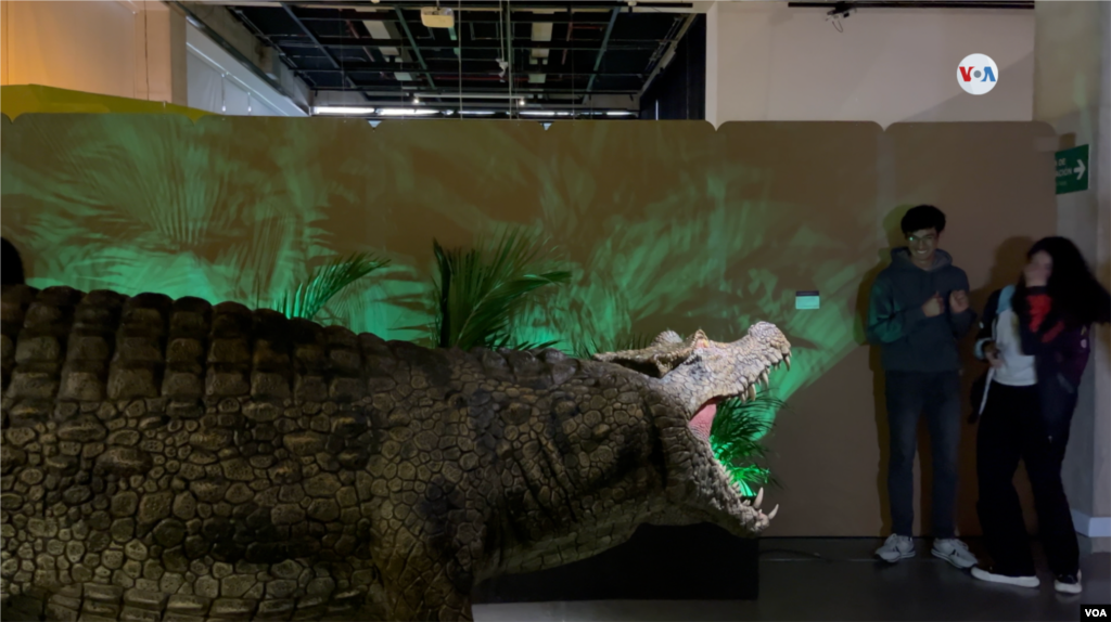 Una imagen en tamaño real de un Iguanodontipus, un cocodrilo de patas largas que habitó Sudamérica.&nbsp;