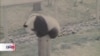 16x9 Image