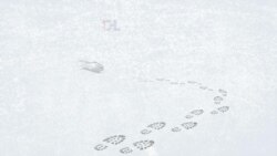 Tras las huellas del coyote | Tráfico migratorio en Texas