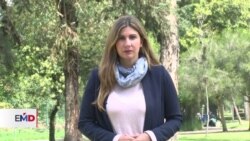 Ecuatorianos votaron por detener explotación petrolera en reserva de Yasuní