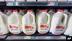 Leche entera a la venta en una tienda de comestibles Whole Foods, el 19 de enero de 2024, en Nueva York. Una canasta típica de alimentos cuesta ahora un 20 % más que en febrero de 2021, justo antes de que la inflación comenzara a despegar en EEUU. ​