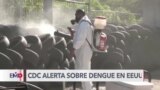 CDC alerta sobre un mayor riesgo de contagio de dengue en Estados Unidos 