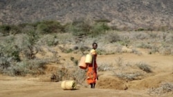 La ONU alerta al mundo sobre el inicio del “colapso climático”