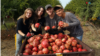 Voluntarios israelíes salvan cosecha de granadas en el kibutz de Tzora