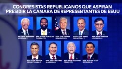 Nueve republicanos aspiran a presidir la Cámara de Representantes 