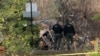 Members of the Arlington County Fire department looks towards the remains of a house explosion, in Arlington, Virginia, Dec. 5, 2023.
