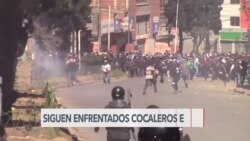 Un mes de conflicto de productores de coca sin solución a la vista 