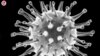 In Georgia, Clerics Use Anti-Vaxx Rhetoric, Call Pandemic a “Bluff”