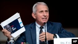 El doctor Anthony Fauci, máximo experto en enfermedades infeccionsas en Estados Unidos, en un evento en Washington DC, el 11 de enero del 2022.