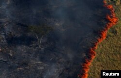 Un bosque en llamas es visto durante la "Operación Ola Verde" realizada por agentes del Instituto Brasileño de Medio Ambiente y Recursos Naturales Renovables, que buscó combatir la tala ilegal en Apui, en la región sur del estado de Amazonas, Brasil, el 4 de agosto de 2017.