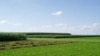 New research suggests farmers can use less fossil fuel without reducing their crop yields or profits.