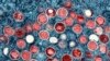 FILE - This image provided by the National Institute of Allergy and Infectious Diseases shows a colorized transmission electron micrograph of mpox particles (red) found within an infected cell (blue).