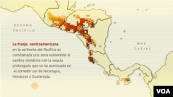 El Corredor Seco de Centroamérica, ilustración VOA.
