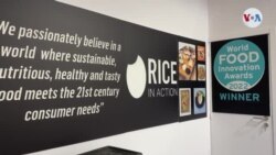 Rice in Action