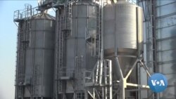 Ministro angolano defende potencialidades agrícolas do país
