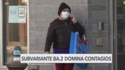 ¿Puede la subvariante BA.2 provocar nuevas restricciones? 