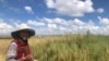 Mery Mamani con sus cultivos en su comunidad de El Alto, Bolivia. [Foto: Fabiola Chiambi, VOA]