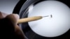 Obama urge a desarrollar tratamiento contra el Zika