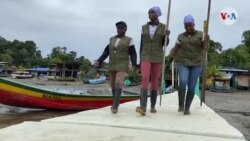 Mujeres del manglar: Cazadoras de piangüa 