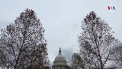 Curiosidades del Congreso de Estados Unidos 