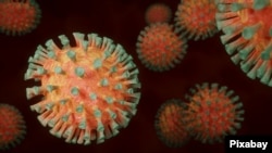 La cepa XE es una "recombinación" de dos sublinajes de la variante ómicron del nuevo coronavirus.