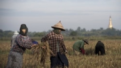 တရုတ်ဆန့်ကျင်ရေးအလွန် ဗီယက်နမ်စီးပွားရေး