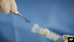 76 de los 78 municipios de Puerto Rico registran casos de Zika y un total de 553 mujeres embarazadas están infectadas con el virus.