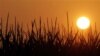 Crean ropa con filtro solar