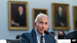 El doctor Anthony Fauci durante una audiencia en el Congreso el 11 de mayo de 2022. 