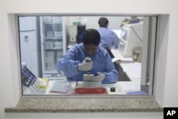 Un trabajador analiza muestras para identificar el virus del Zika, en un laboratorio de Rio de Janeiro, Brasil.