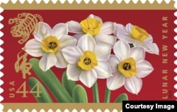 Debido a que florece temprano, el fragante narciso se ha convertido en la flor simbólica del Año Nuevo Lunar chino. (Servicio Postal de EE.UU.)