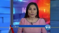 နေ့စဉ် တီဗွီသတင်းလွှာ (၀၈-၂၅-၂၀၂၀)
