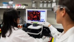 Dr. Sonia Macieiewski (R) and Dr. Nita Patel, Director of Antibody discovery and Vaccine development, look at a sample of a respiratory virus at Novavax labs in Rockville, Maryland on March 20, 2020, one of the labs developing a vaccine for the coronaviru