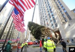 Trabajadores ayudados por una grúa levantan el árbol de navidad del Rockefeller Center. Nov. 11, 2017.