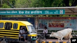 A stray cow walks past a bus stop in Allahabad, India, May 29, 2017