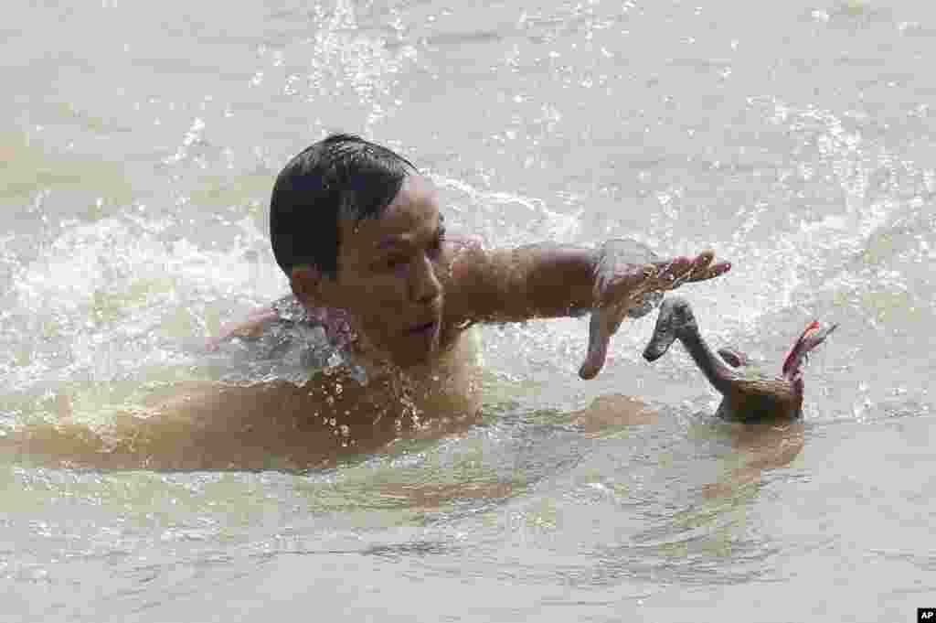 Seorang pria berusaha menangkap itik pada Festival &#39;Peh Cun&#39; di sungai Cisadane, Tangerang.