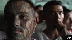 Una serie de crímenes y actos de violencia se les atribuye a esta nueva clase de delincuentes juveniles. 